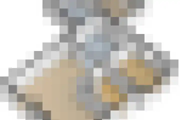 Grienereed 2 B Reitsum thumbnail 77