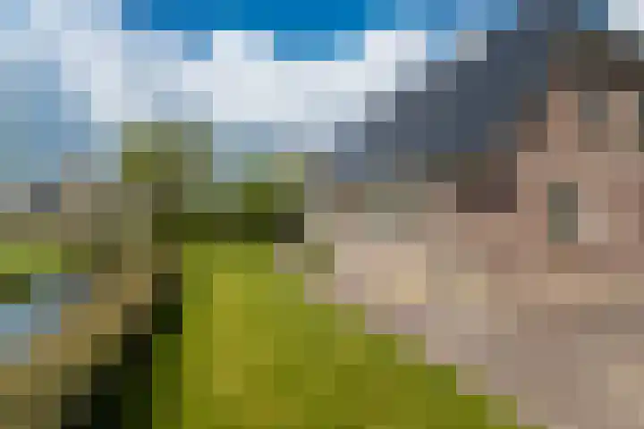 Grienereed 2 B Reitsum thumbnail 8