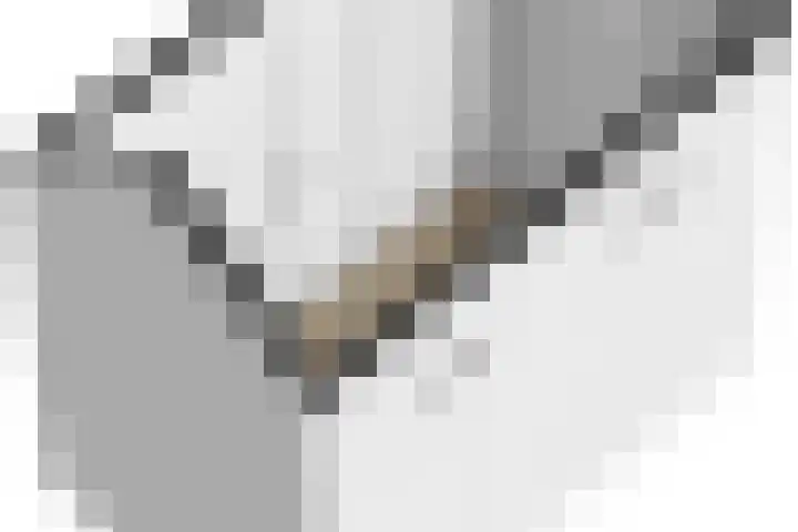 Grienereed 2 B Reitsum thumbnail 83