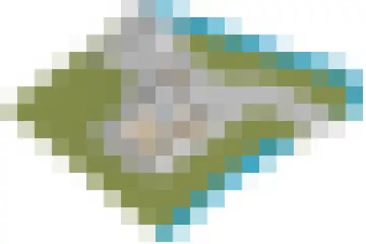 Grienereed 2 B Reitsum thumbnail 87