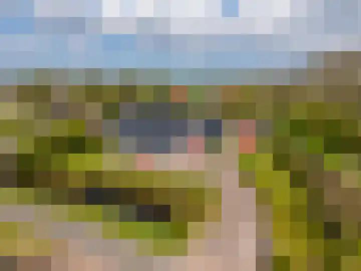 Grienereed 2 B Reitsum thumbnail 88