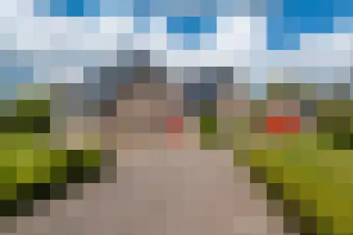 Grienereed 2 B Reitsum thumbnail 9