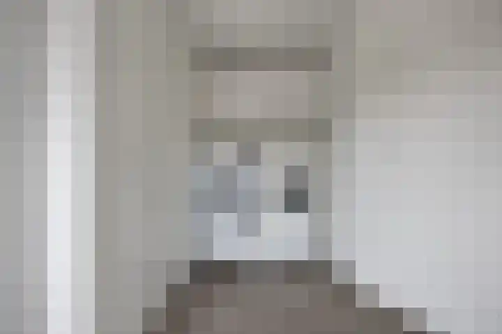Griensven 21 Den Dungen thumbnail 10