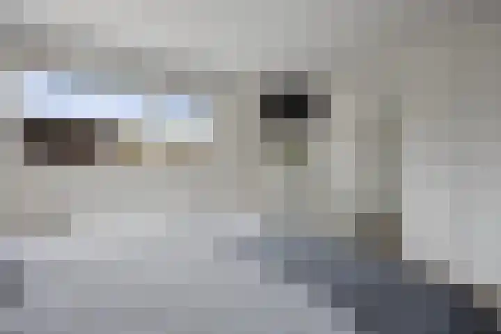 Griensven 21 Den Dungen thumbnail 12