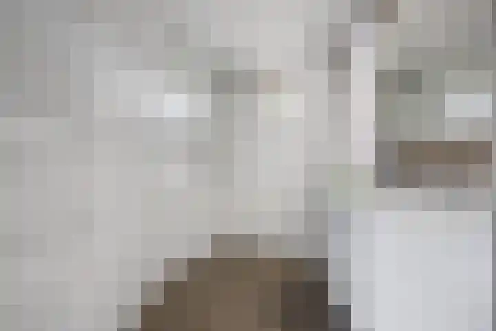 Griensven 21 Den Dungen thumbnail 13