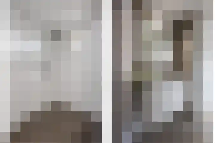 Griensven 21 Den Dungen thumbnail 14