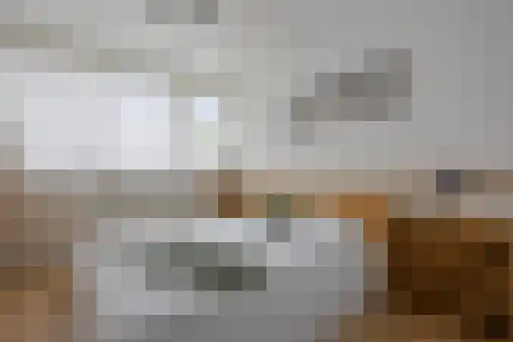 Griensven 21 Den Dungen thumbnail 15