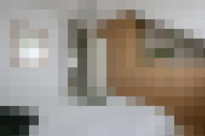 Griensven 21 Den Dungen thumbnail 16
