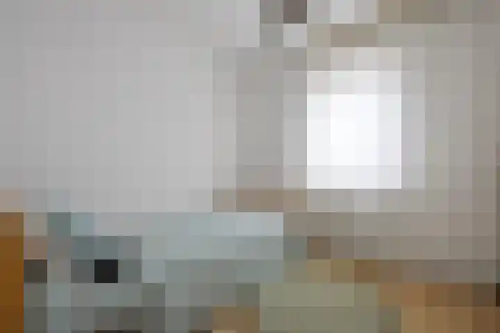 Griensven 21 Den Dungen thumbnail 17