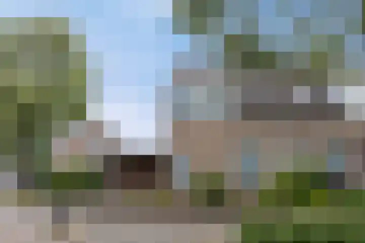 Griensven 21 Den Dungen thumbnail 29