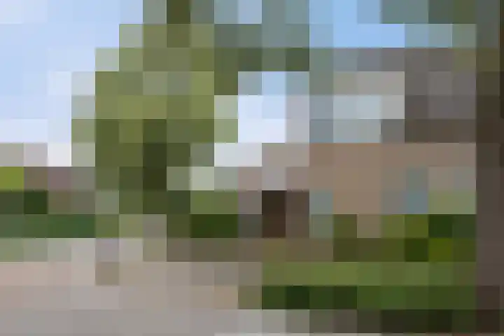 Griensven 21 Den Dungen thumbnail 30