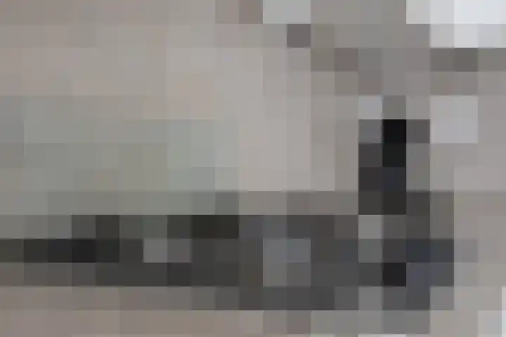 Griensven 21 Den Dungen thumbnail 8