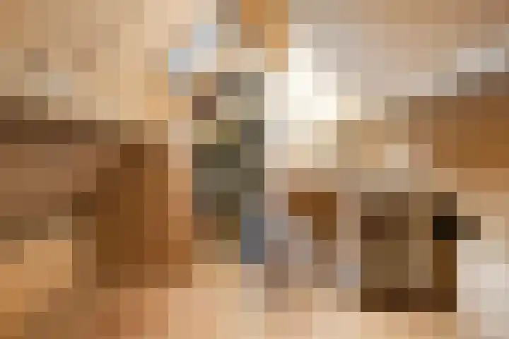 Griensven 28 Den Dungen thumbnail 26