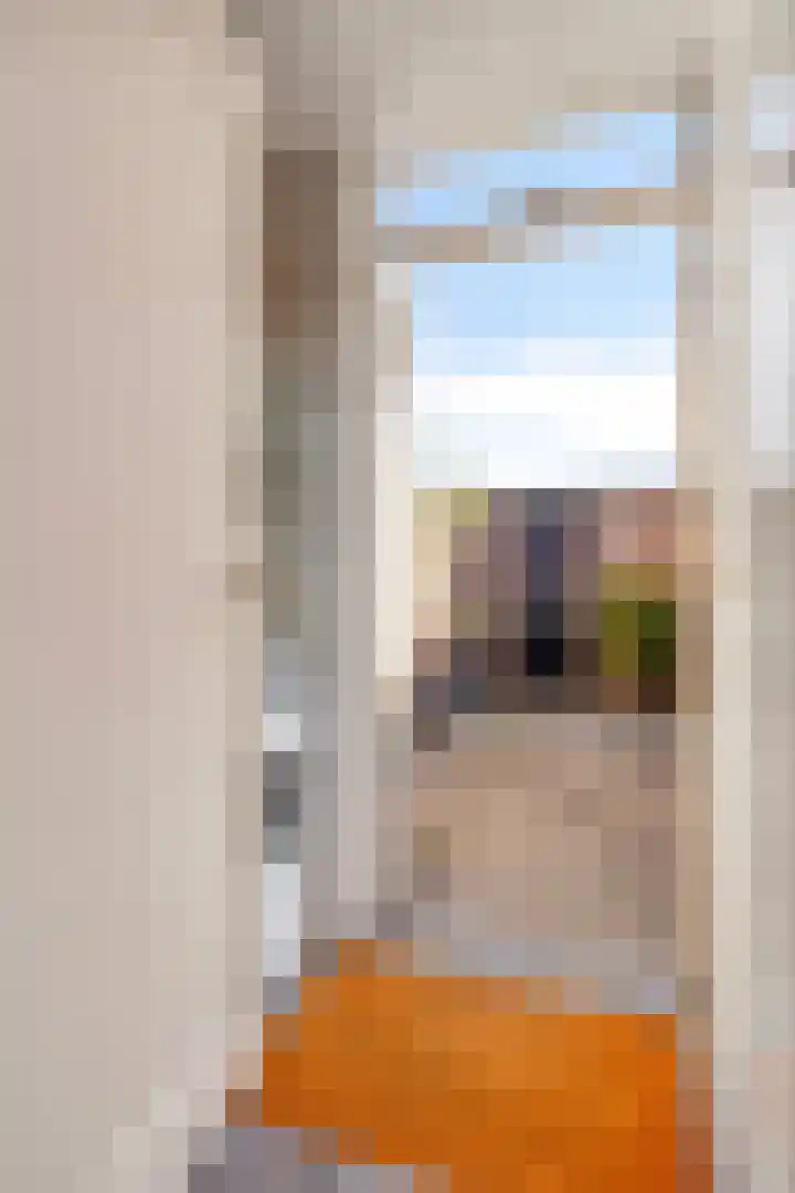 Griensven 28 Den Dungen thumbnail 29