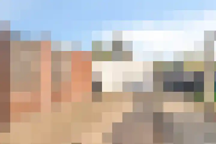 Griensven 28 Den Dungen thumbnail 34