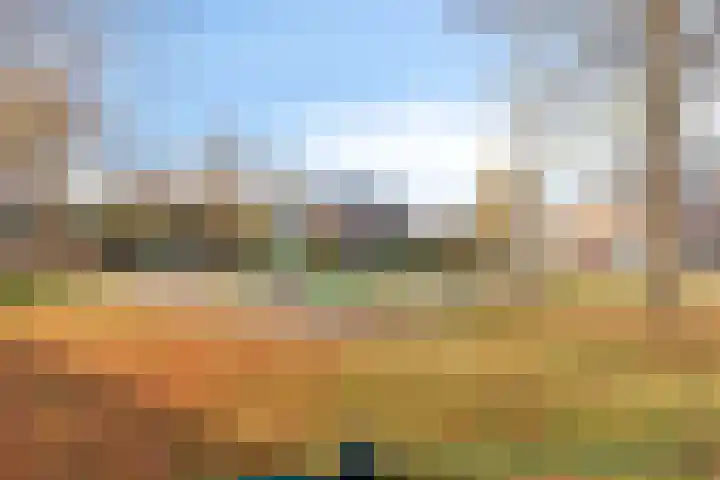 Griensven 28 Den Dungen thumbnail 35