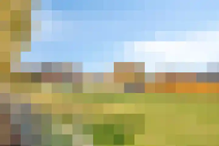 Griensven 28 Den Dungen thumbnail 36