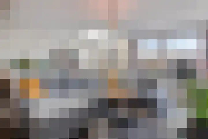 Griensven 28 Den Dungen thumbnail 7