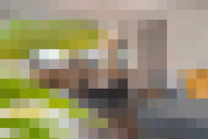 Griensven 28 Den Dungen thumbnail 9