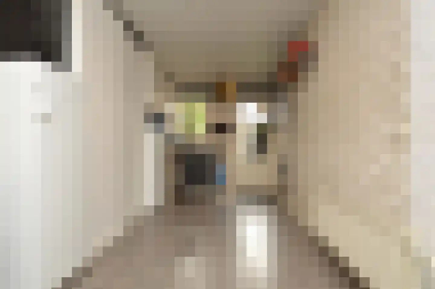 Griensvenstraat 7 Milheeze thumbnail 14
