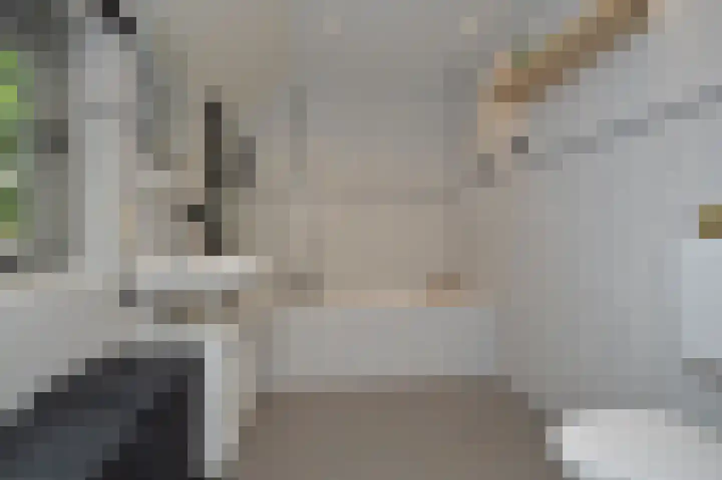 Griensvenstraat 7 Milheeze thumbnail 21