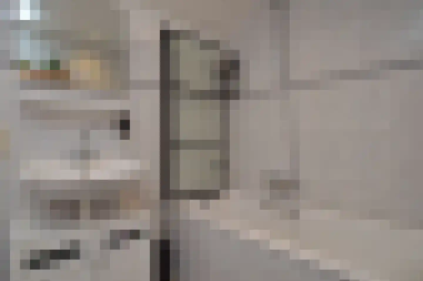 Griensvenstraat 7 Milheeze thumbnail 22