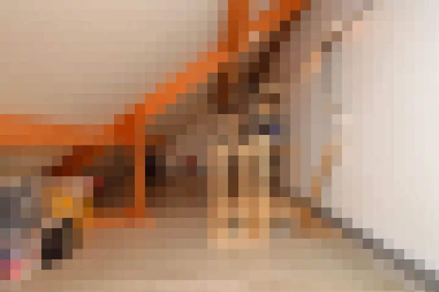 Griensvenstraat 7 Milheeze thumbnail 24