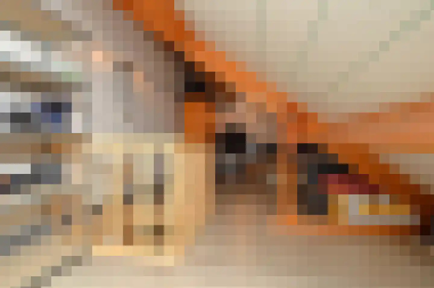 Griensvenstraat 7 Milheeze thumbnail 25