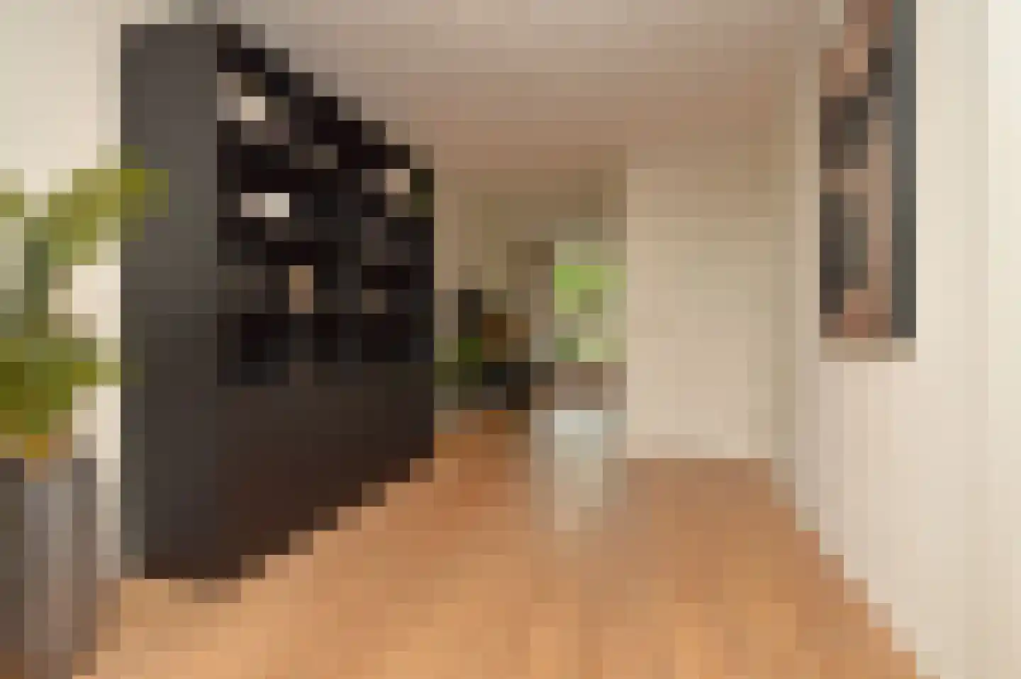 Griensvenstraat 7 Milheeze thumbnail 7