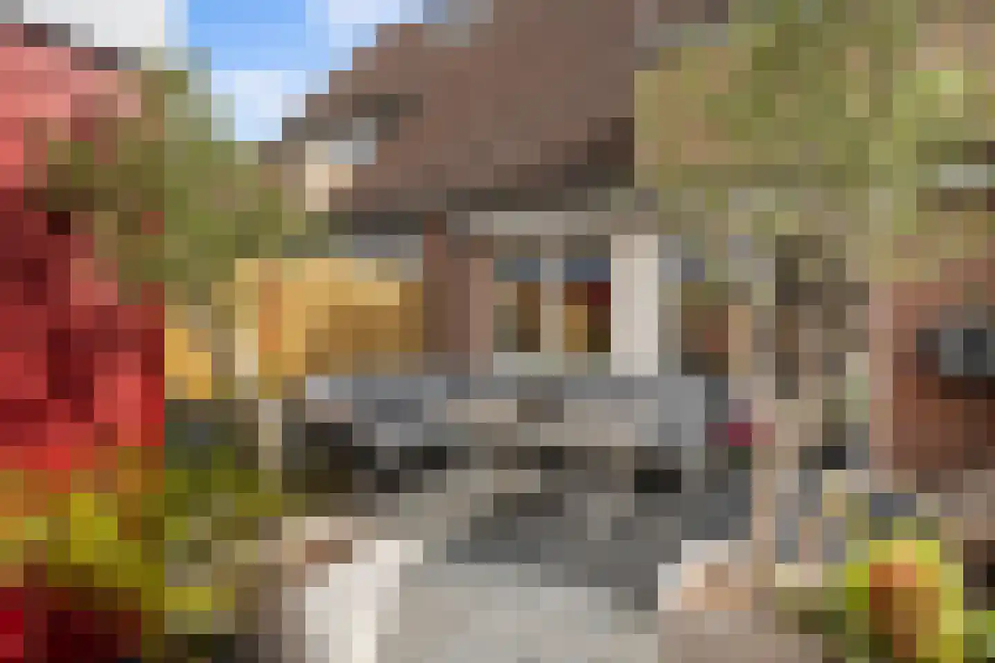 Griet Manshande erf 13 Capelle aan den IJssel thumbnail 13