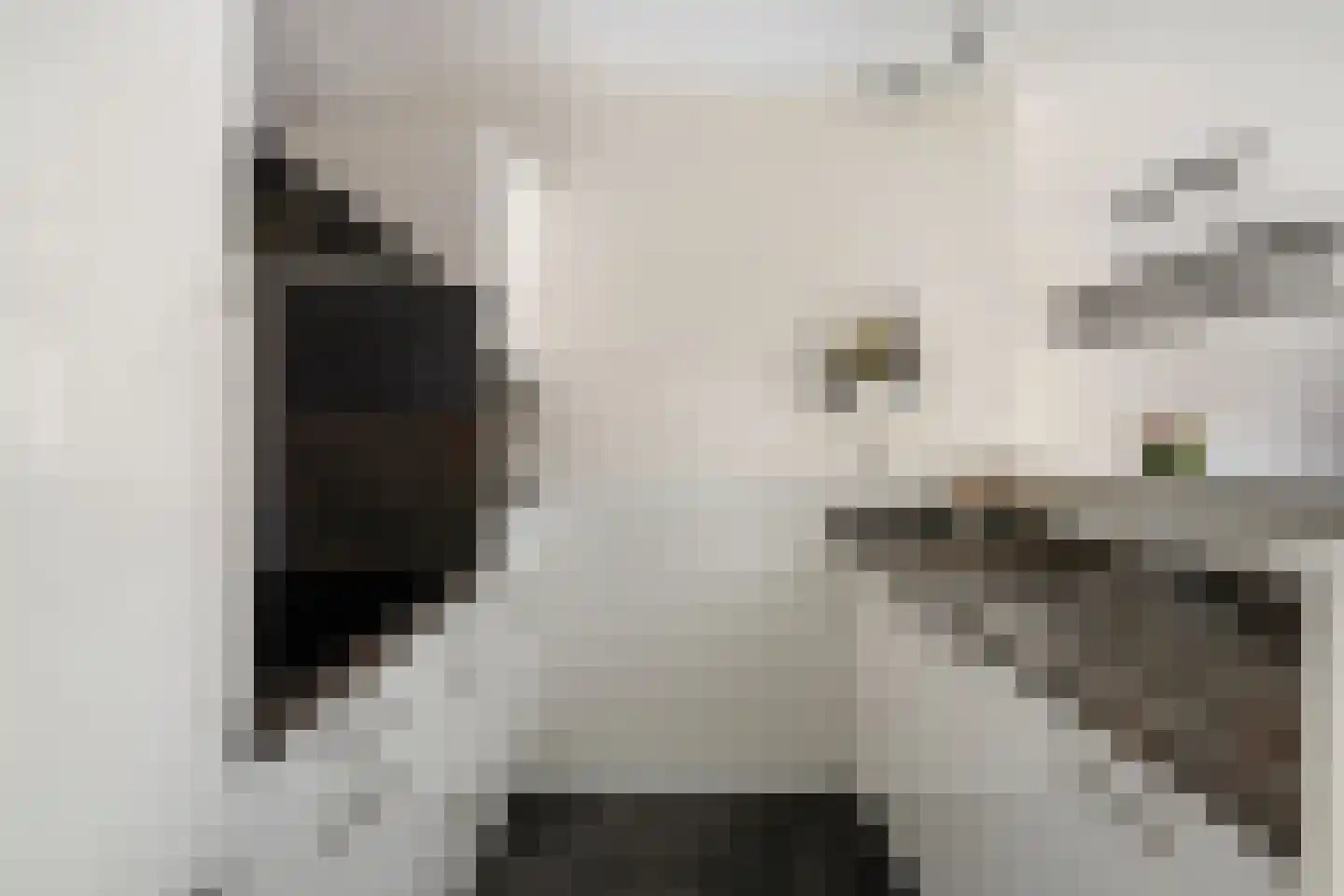 Griet Manshande erf 13 Capelle aan den IJssel thumbnail 17