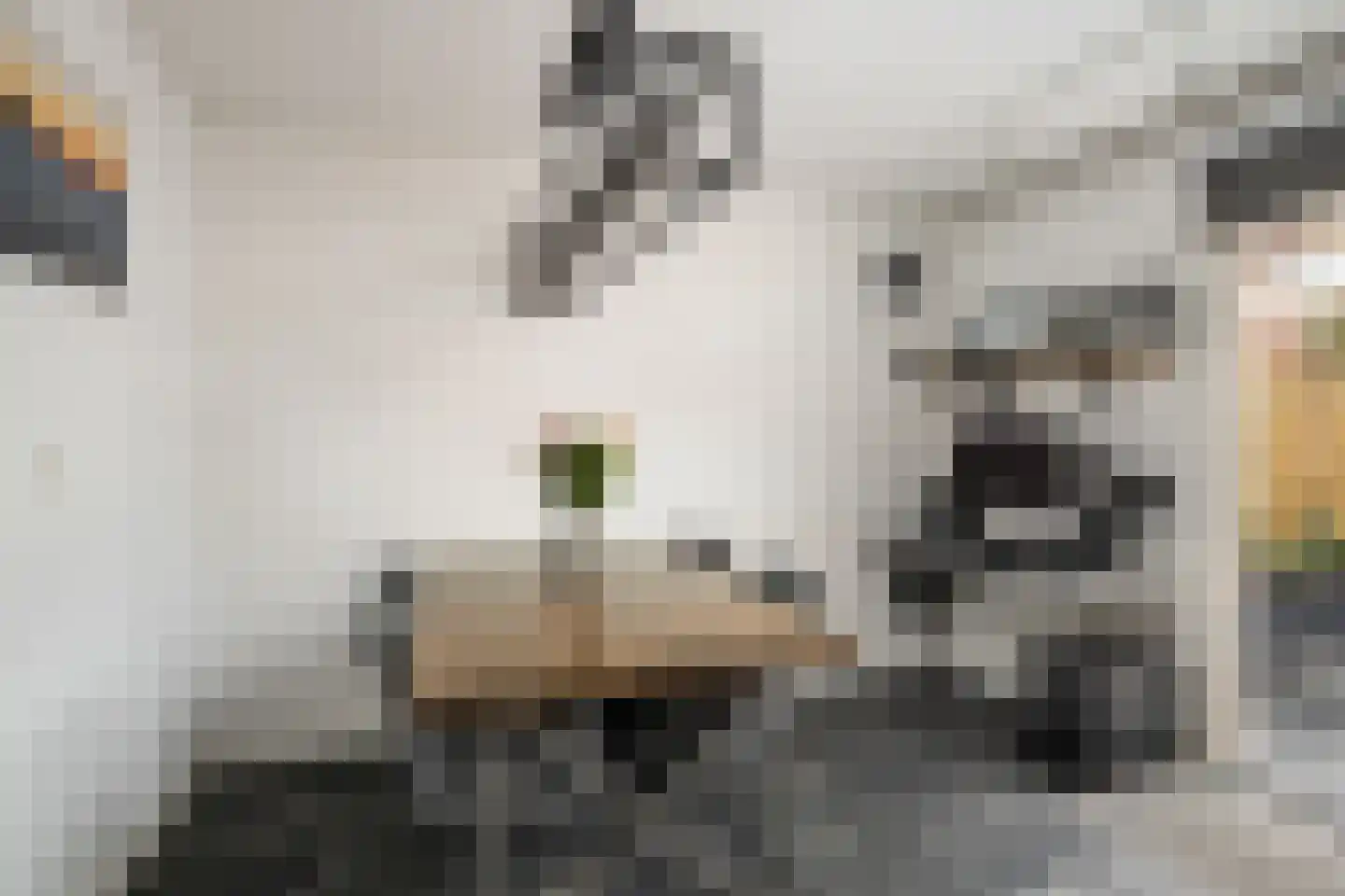 Griet Manshande erf 13 Capelle aan den IJssel thumbnail 8