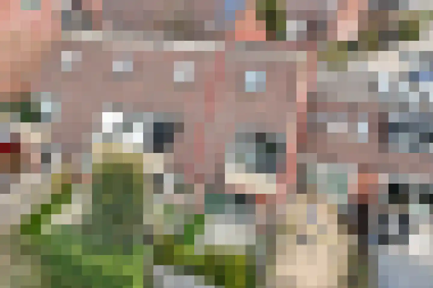 Griet Manshande erf 55 en Capelle aan den IJssel