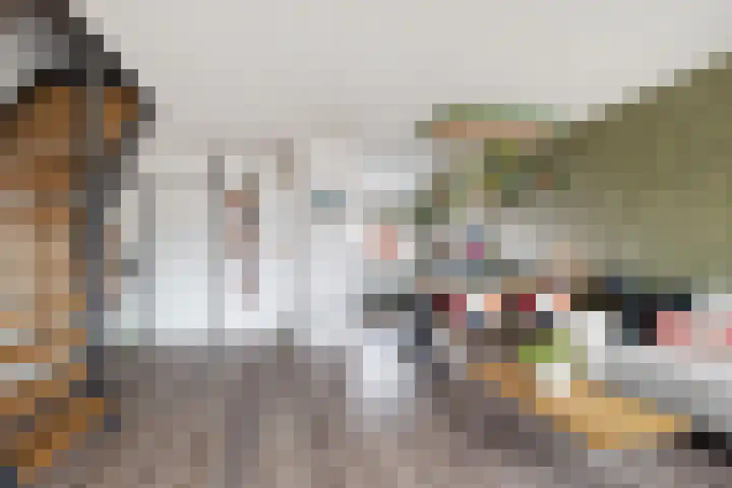 Griet Manshande erf 55 Capelle aan den IJssel thumbnail 13