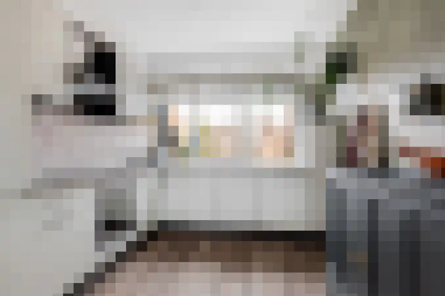 Griet Manshande erf 55 Capelle aan den IJssel thumbnail 17