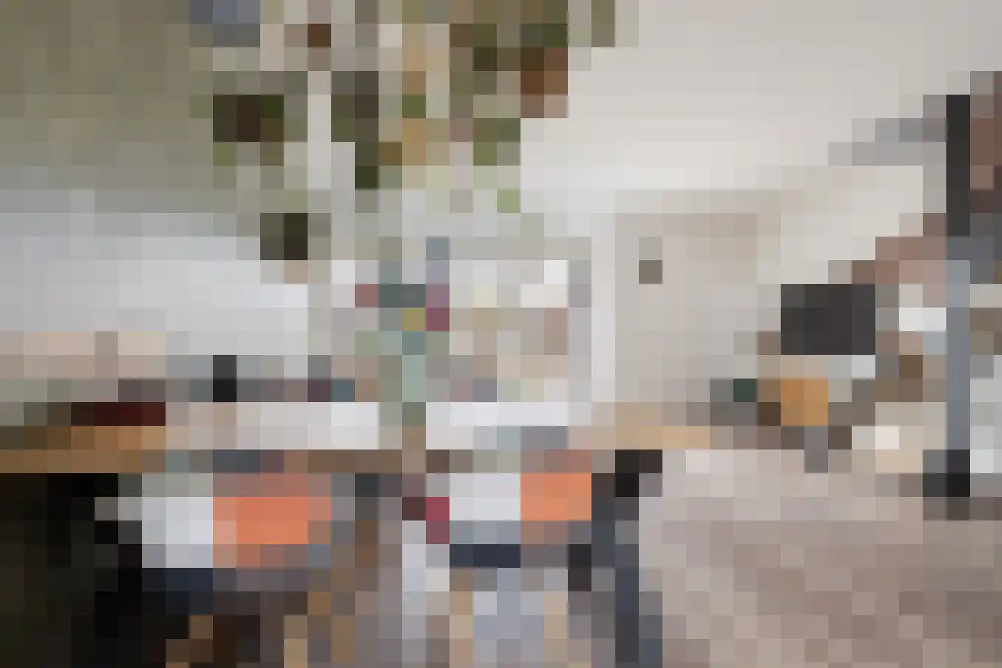 Griet Manshande erf 55 Capelle aan den IJssel thumbnail 18