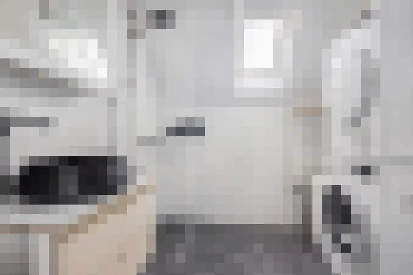 Griet Manshande erf 55 Capelle aan den IJssel thumbnail 4