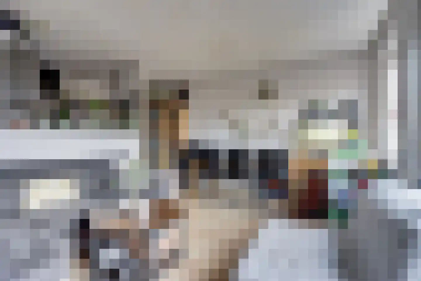 Griet Manshande erf 87 Capelle aan den IJssel thumbnail 4