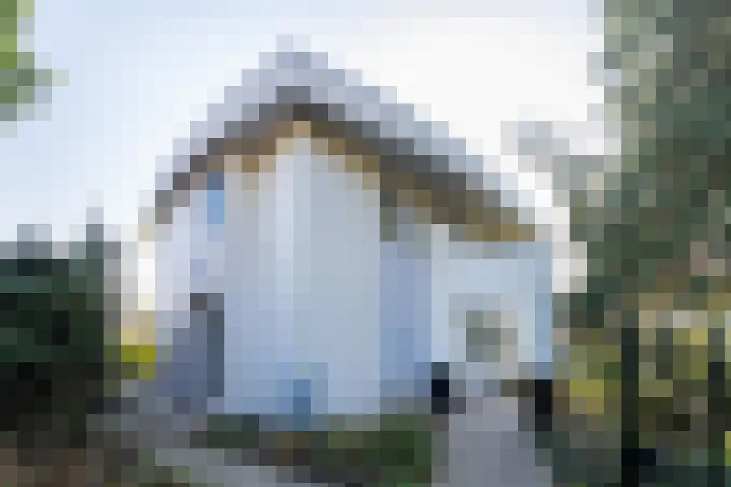 Griete 15 Zaamslag