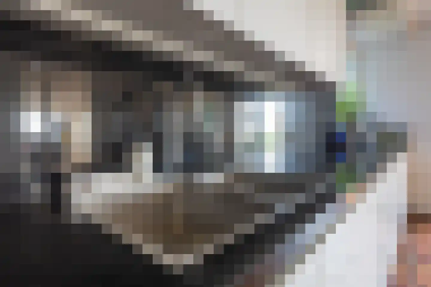 Griete 15 Zaamslag thumbnail 16