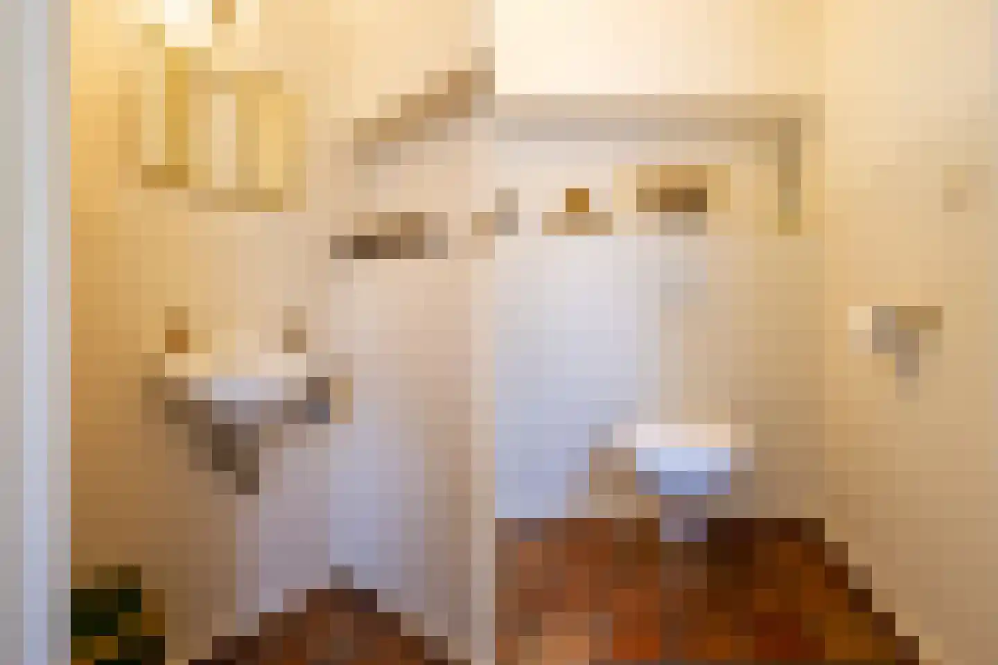 Griete 15 Zaamslag thumbnail 20