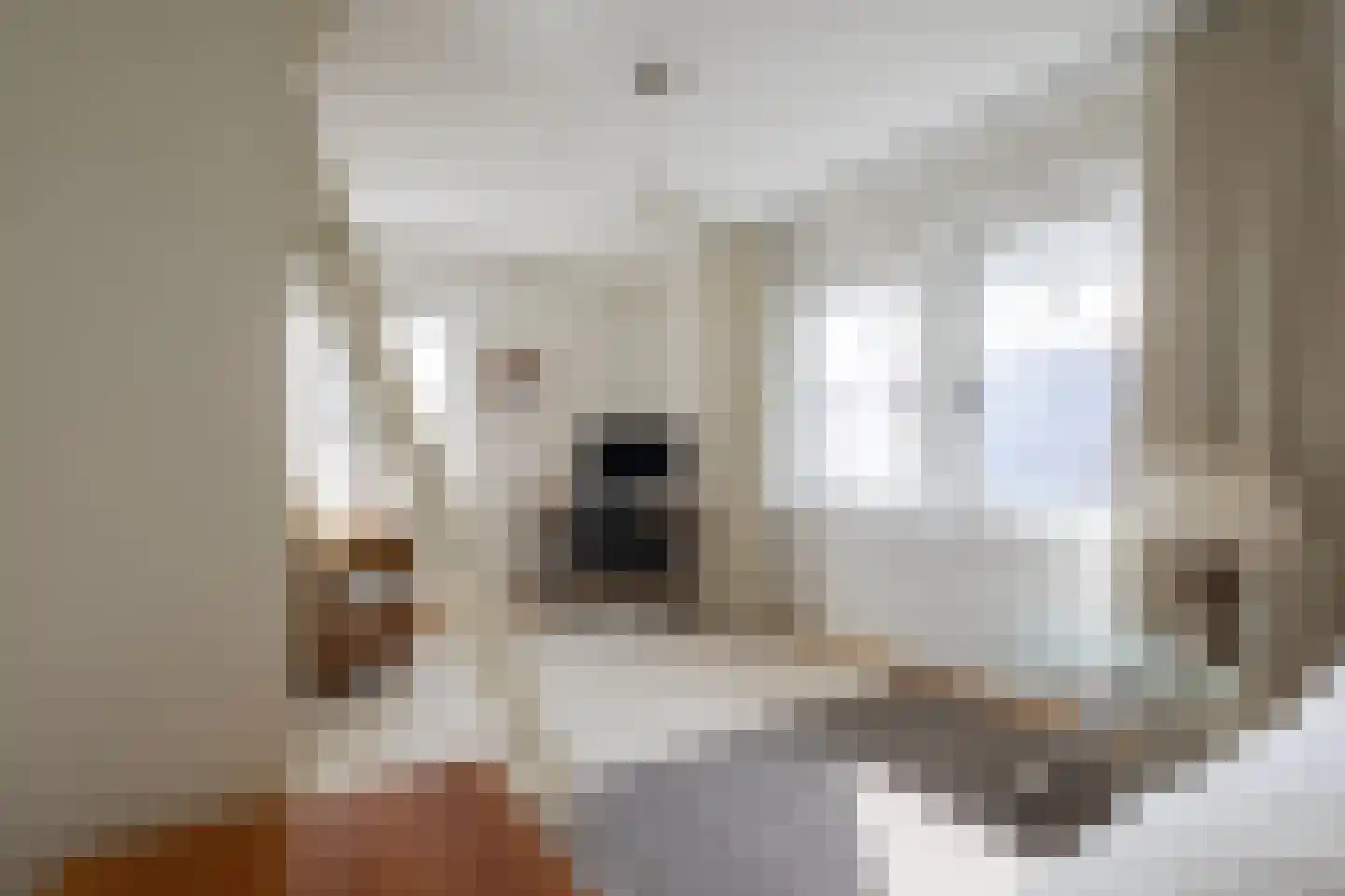 Griete 15 Zaamslag thumbnail 26