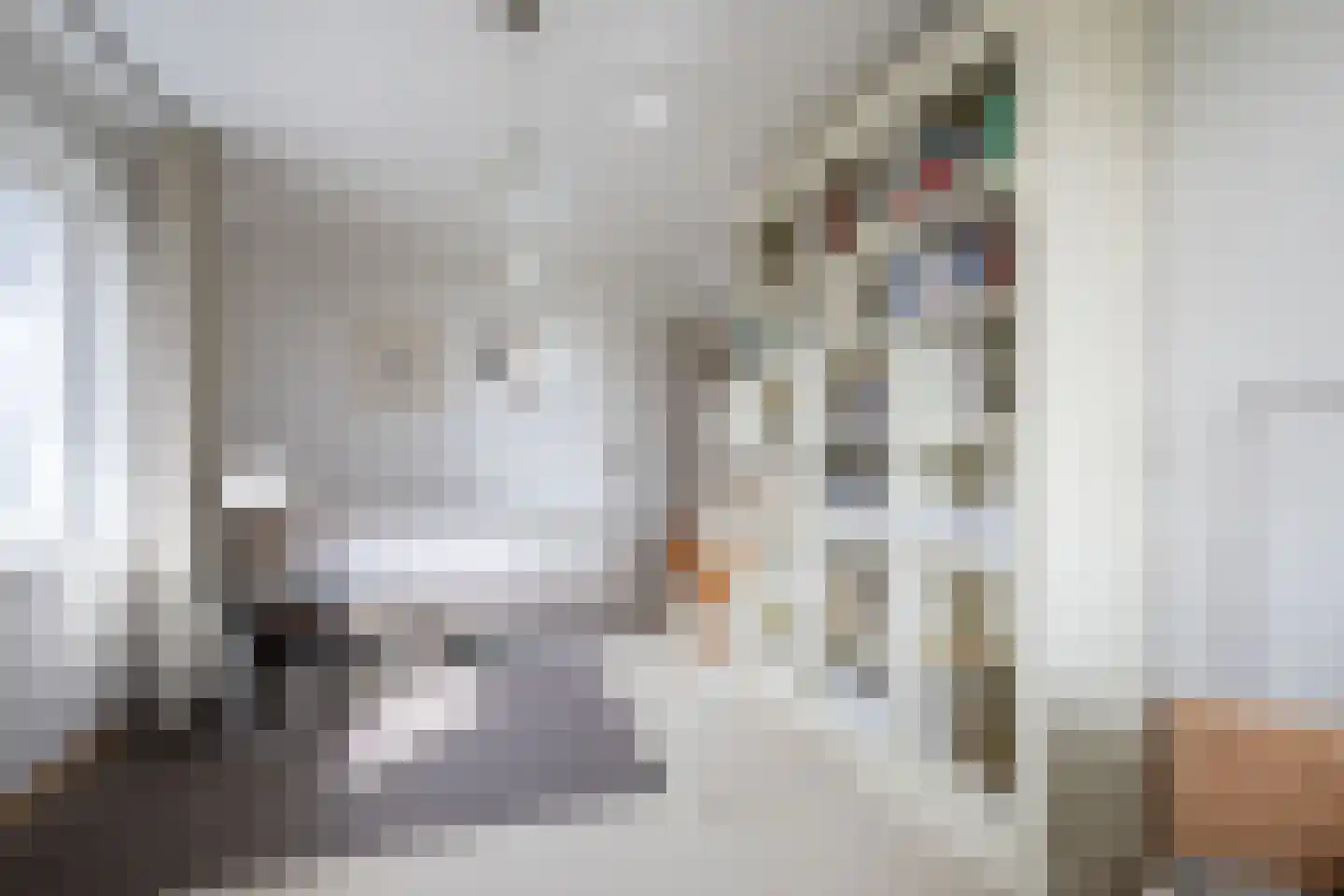 Griete 15 Zaamslag thumbnail 27