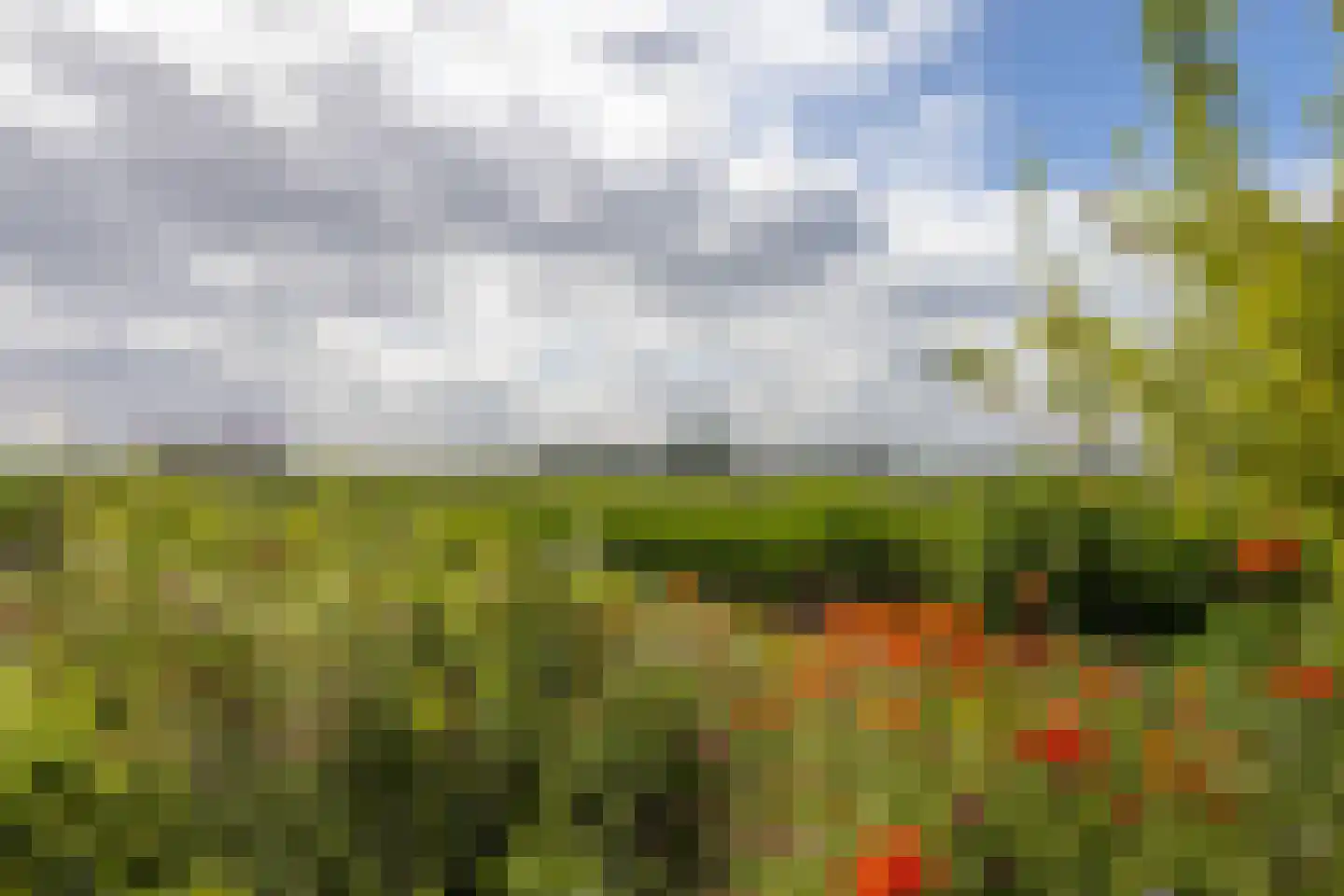 Griete 15 Zaamslag thumbnail 40