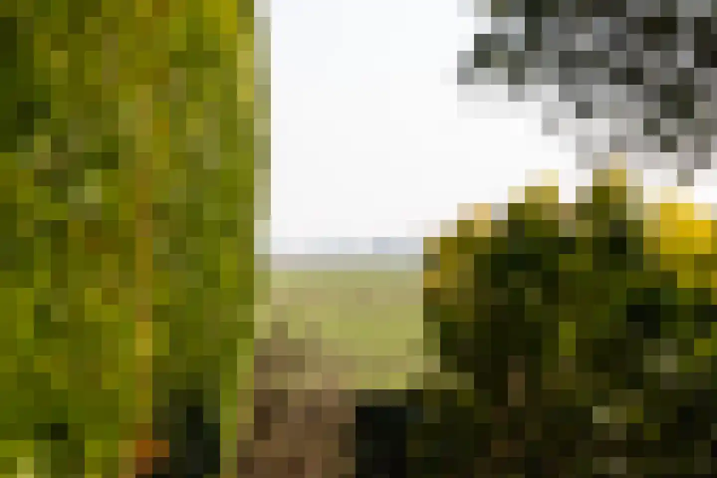 Griete 15 Zaamslag thumbnail 43