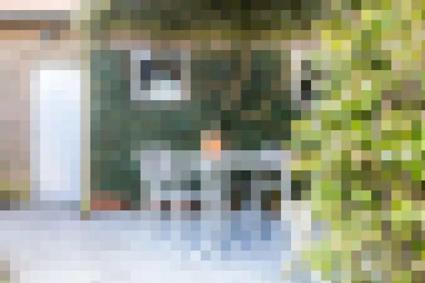 Griete 15 Zaamslag thumbnail 44