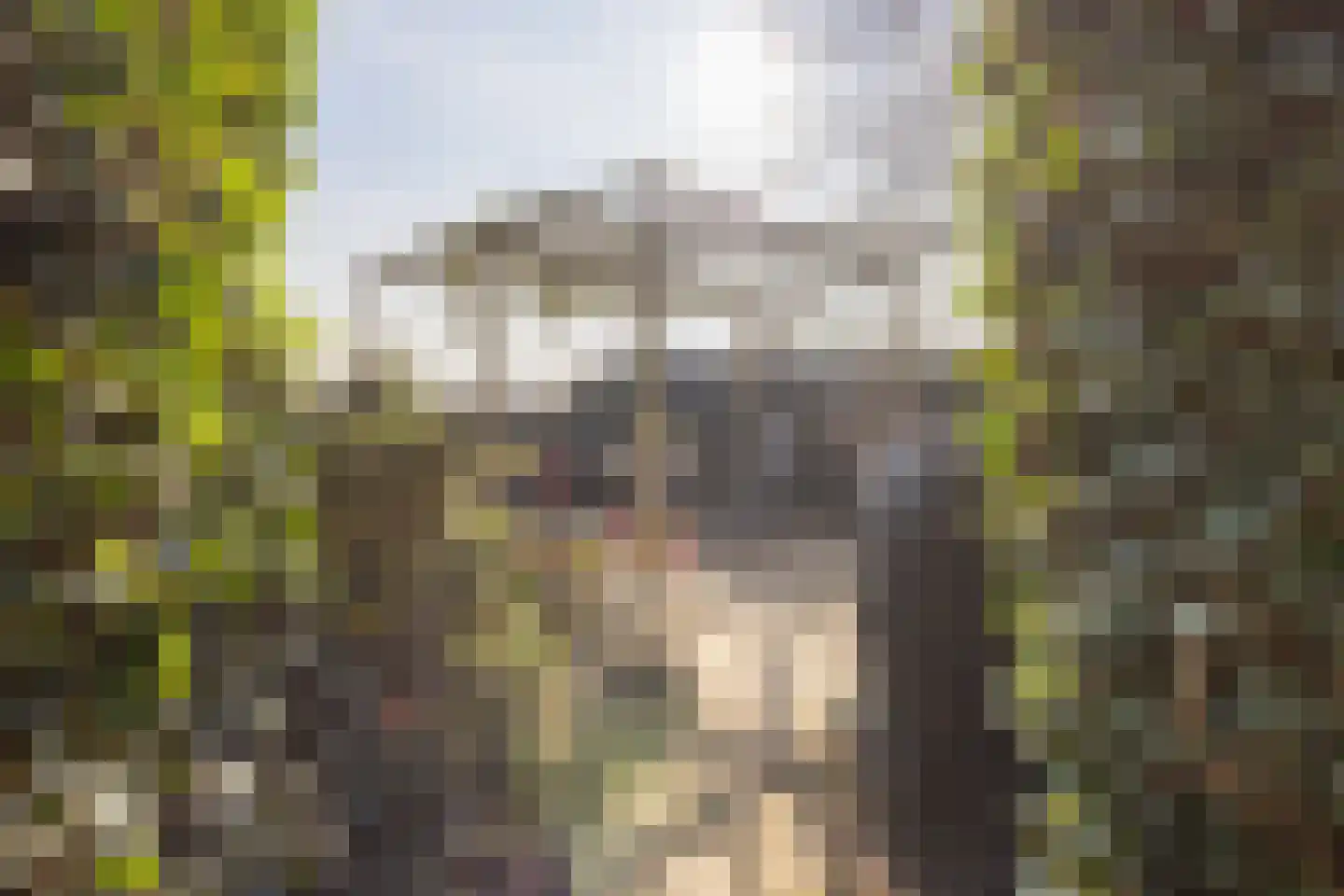 Griete 15 Zaamslag thumbnail 45
