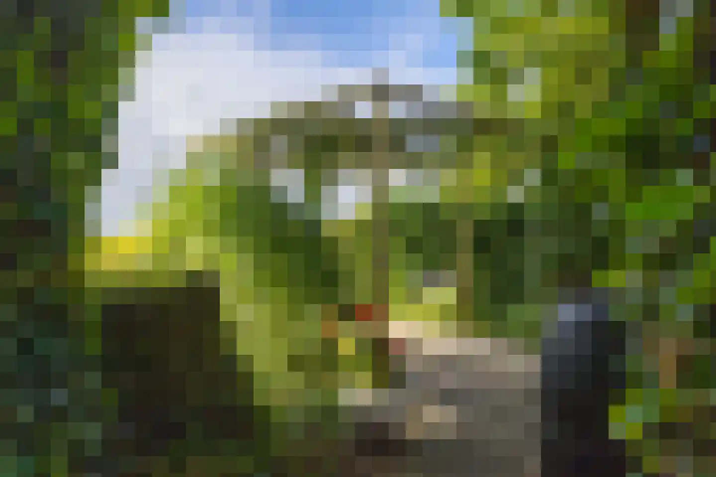 Griete 15 Zaamslag thumbnail 45