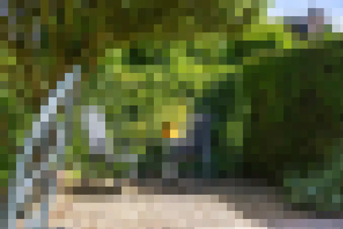 Griete 15 Zaamslag thumbnail 46