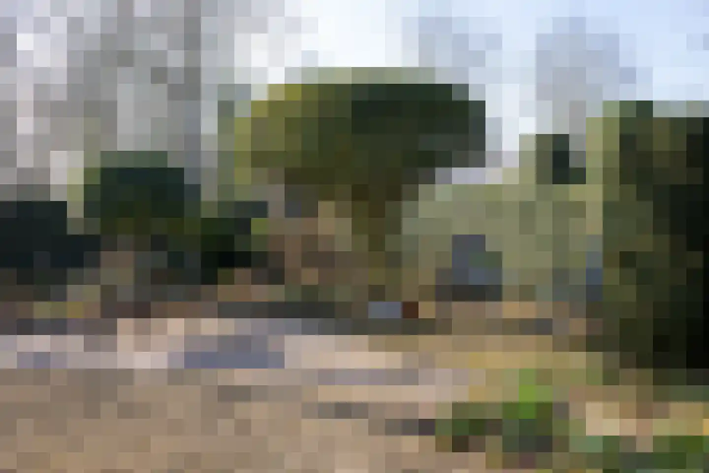 Griete 15 Zaamslag thumbnail 46